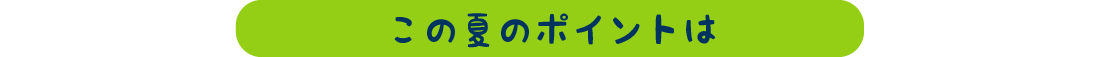 この夏のポイントは