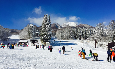 池の平温泉スキー場
