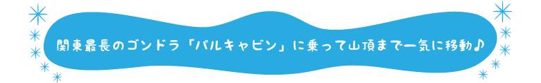 関東最長のゴンドラ「パルキャビン」に乗って山頂まで一気に移動♪
