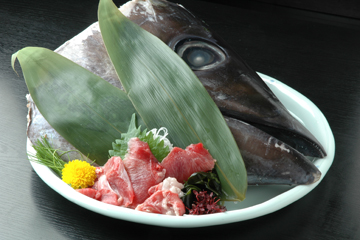 魚屋料理 魚市 心斎橋北店