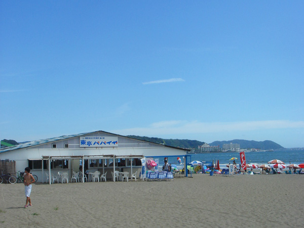 由比ガ浜 海の家 パパイヤ 海の家クーポン画像