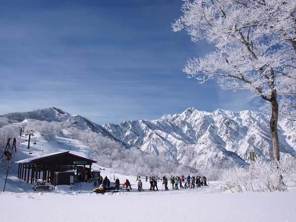 Hakuba47ウインタースポーツパークリフト券割引クーポン ジョルダンクーポン