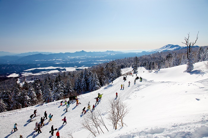 全長3200m!関東最長ゴンドラ完備で山頂まで楽々移動♪
