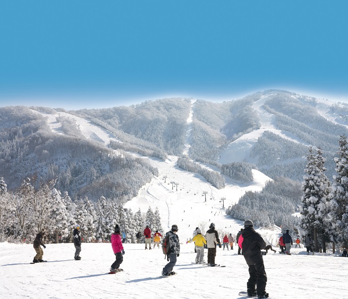 スキージャム勝山（福井）リフト券割引クーポン | ジョルダンクーポン