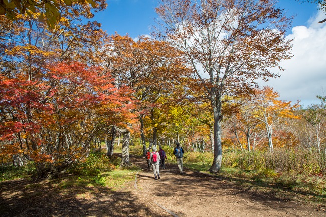 【那須 紅葉ゴンドラ】山頂の散策コース