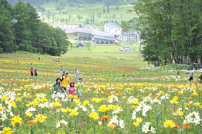 タングラム斑尾 ゆり園