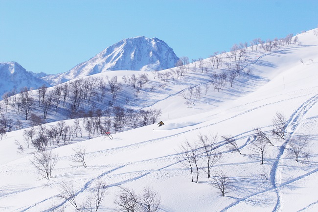 ロッテアライリゾート