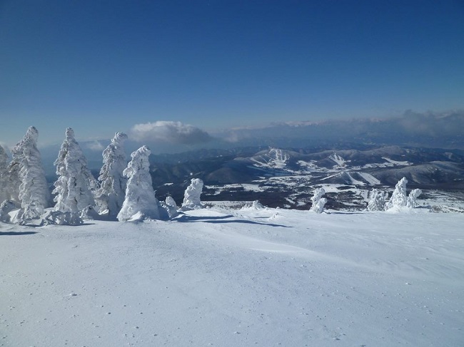 根子岳山頂にそびえる樹氷「スノーモンスター」