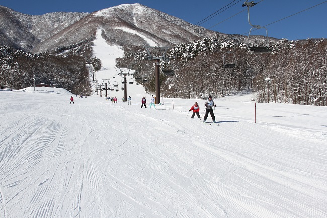 【ファミリーゲレンデ】圧雪コース (初級) 初心者向きな斜面 小さなお子さんと楽しめるバーンです。