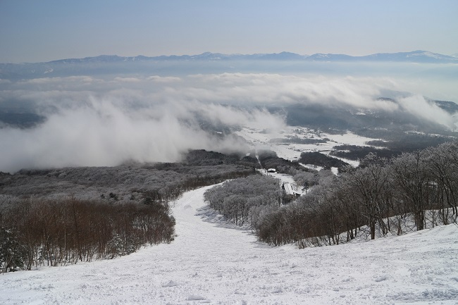 【アドベンチャーコース】非圧雪コース (上級)850m 天然雪のパウダーコース。オフピステゲレンデなので新雪滑走は最高。ボーダーやテレマーカーに最適。