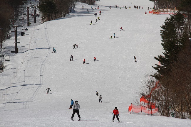 【フォレストコース】圧雪コース (初・中級)850m 初・中級者の練習には最適なコースです。
