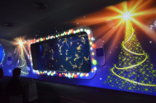 クラゲショー「海月の宇宙~クリスマス~(イメージ)