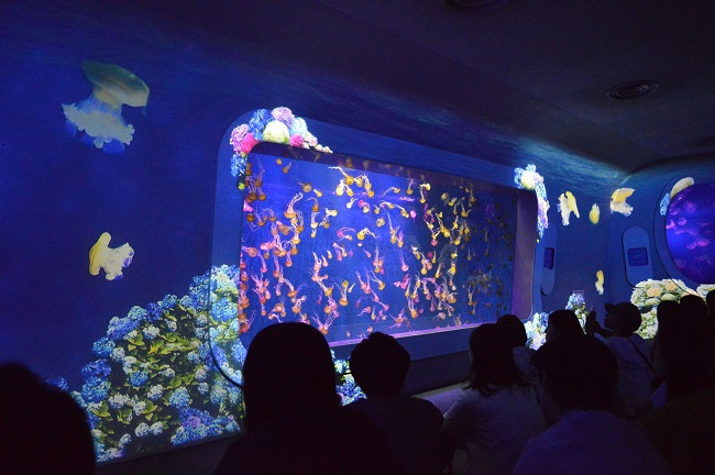 【新江ノ島水族館】6月1日~ クラゲショー「海月の宇宙~あじさい~」
