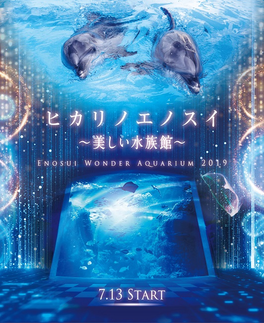 【新江ノ島水族館】ヒカリノエノスイ(7.13 START)