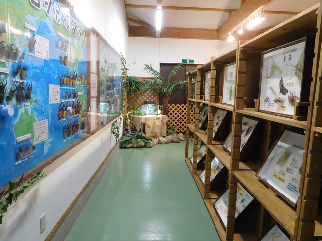 【那須昆虫ワールド】 昆虫標本・生体展示