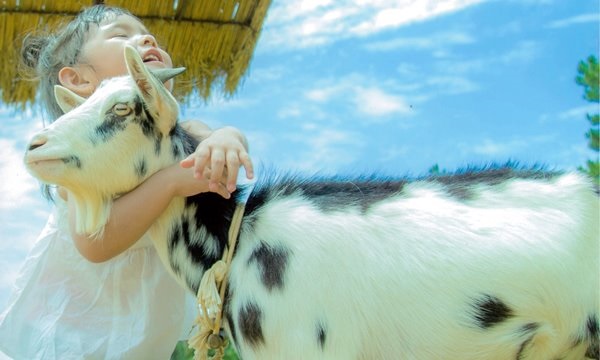 ビオスの丘