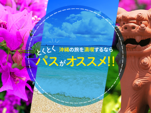 沖縄とくとく5パス（美ら海とくとく5パス）