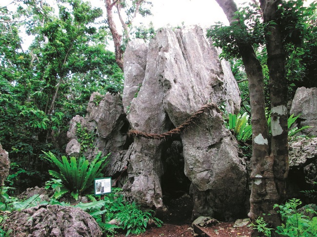 【大石林山】生まれ変わりの石