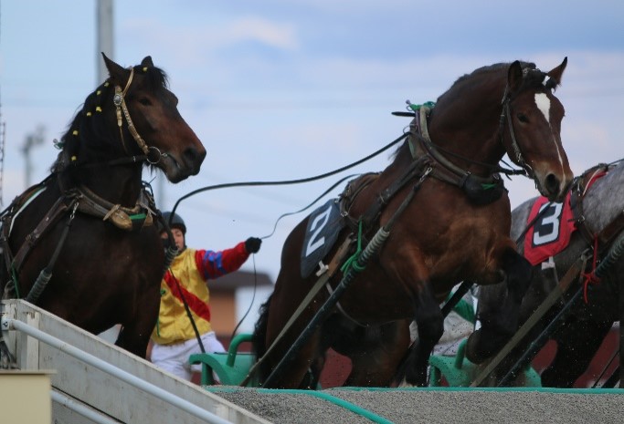 【ばんえい十勝・とかちむらバスパック】ばんえい十勝