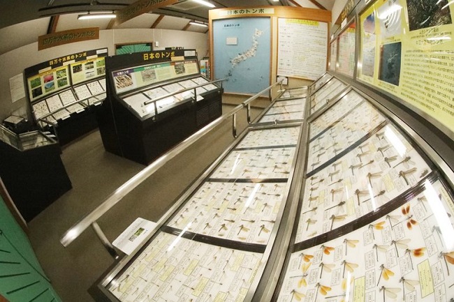 【トンボ館】展示コーナー