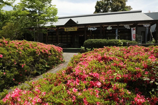 四万十川学遊館あきついお
