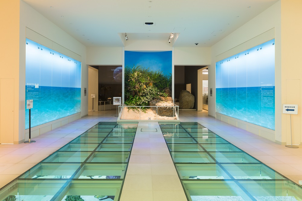 沖縄県立博物館・美術館