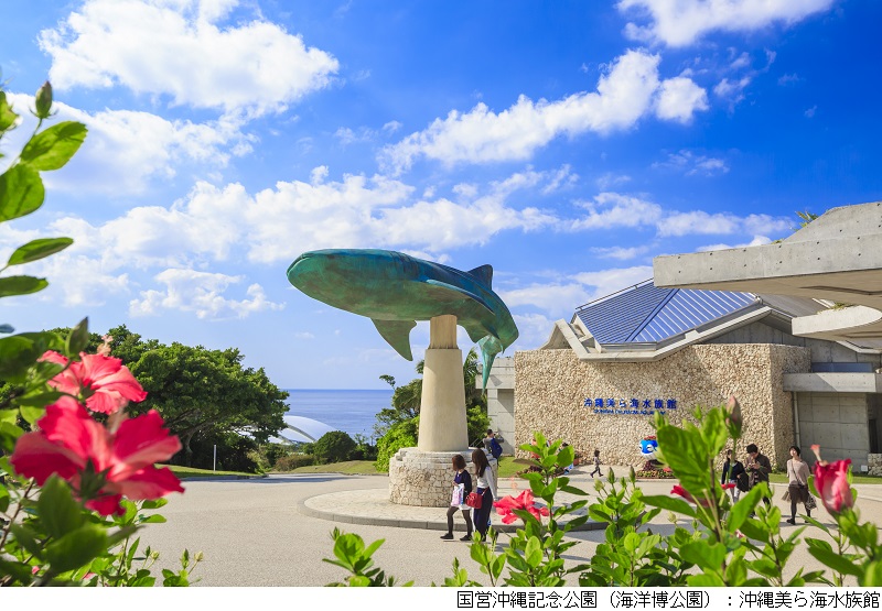 【沖縄美ら海水族館】外観・ジンベエザメモニュメント