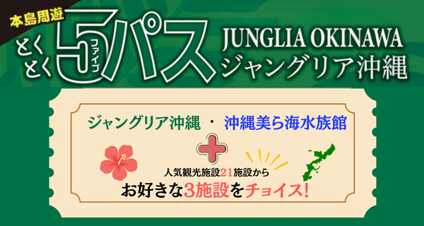 沖縄とくとく5パス ジャングリア沖縄