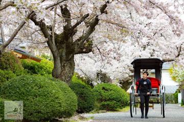 人力車えびす屋 嵐山總本店