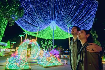 美らヤシパークオキナワ・東南植物楽園