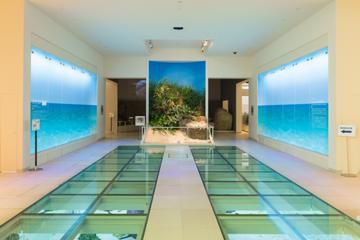 沖縄県立博物館・美術館