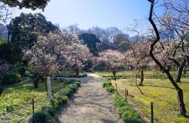 小石川後楽園