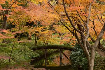 六義園