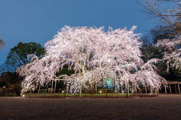 六義園