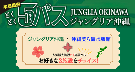 沖縄とくとく5パス ジャングリア沖縄