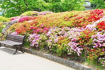箱根強羅公園