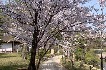 佐倉市立美術館